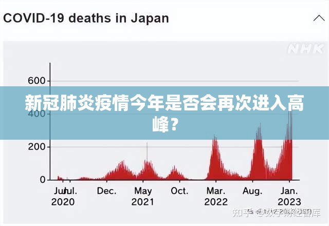 新冠肺炎疫情今年是否会再次进入高峰？
