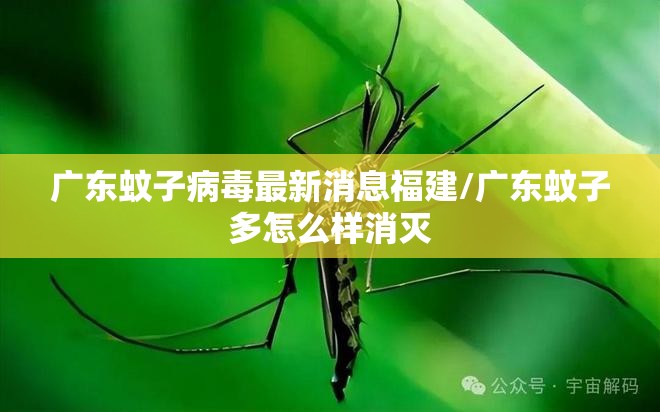 广东蚊子病毒最新消息福建/广东蚊子多怎么样消灭