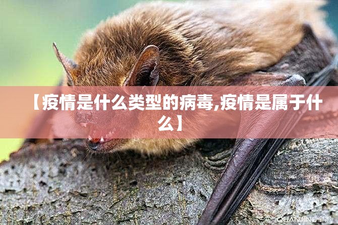 【疫情是什么类型的病毒,疫情是属于什么】