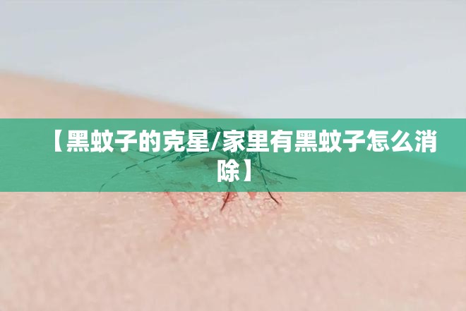 【黑蚊子的克星/家里有黑蚊子怎么消除】