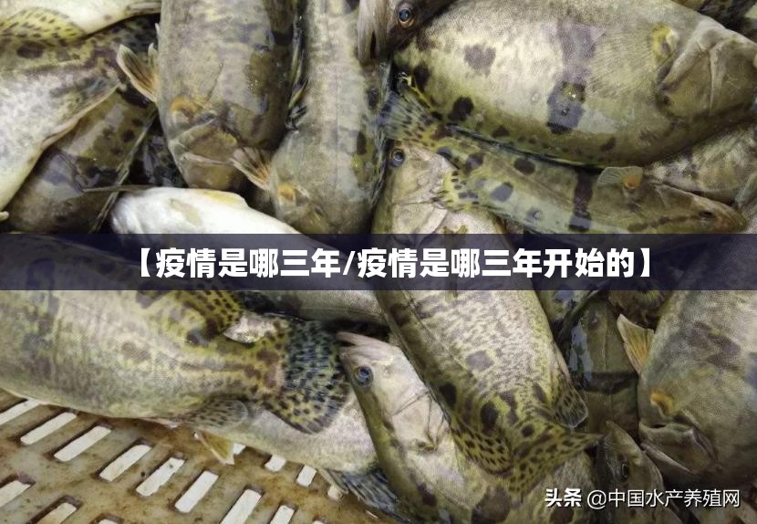 【疫情是哪三年/疫情是哪三年开始的】