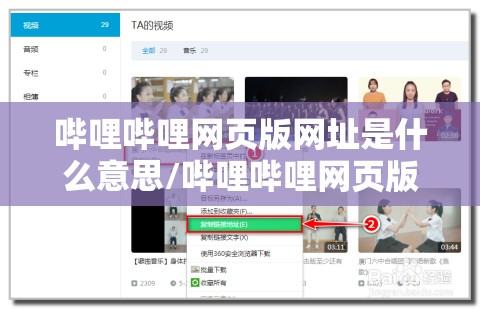 哔哩哔哩网页版网址是什么意思/哔哩哔哩网页版网址是什么