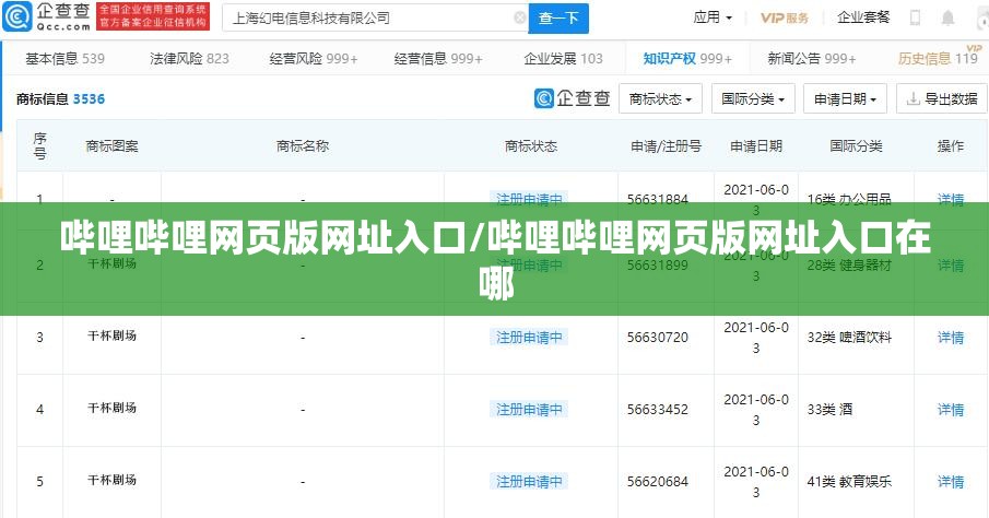 哔哩哔哩网页版网址入口/哔哩哔哩网页版网址入口在哪
