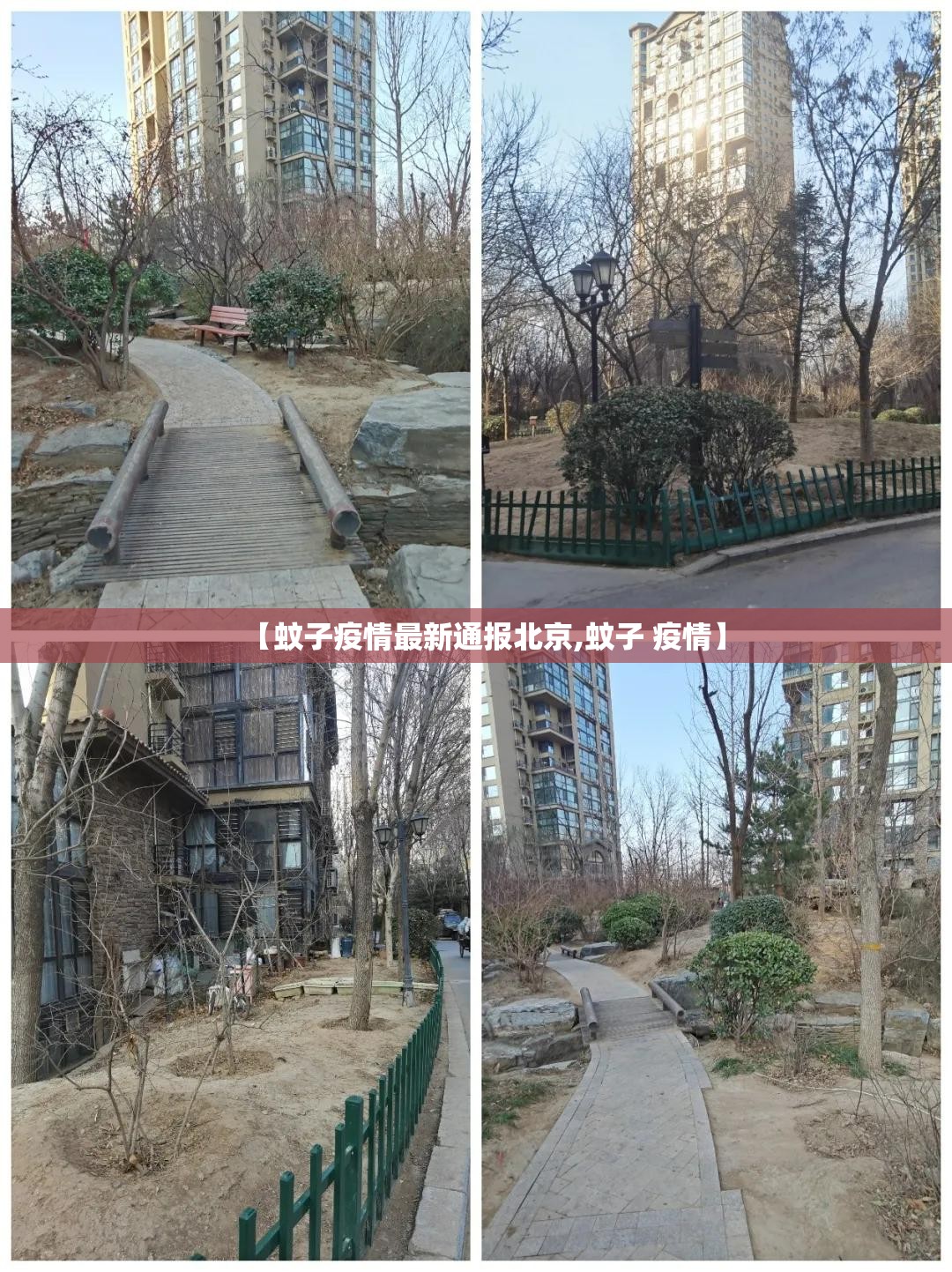 【蚊子疫情最新通报北京,蚊子 疫情】