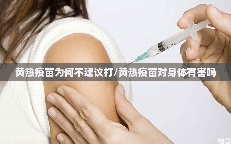 黄热疫苗为何不建议打/黄热疫苗对身体有害吗