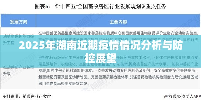 2025年湖南近期疫情情况分析与防控展望