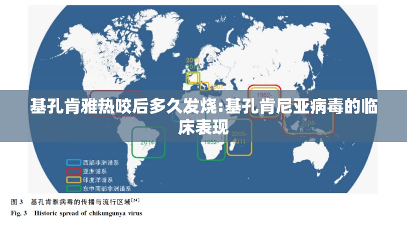 基孔肯雅热咬后多久发烧:基孔肯尼亚病毒的临床表现