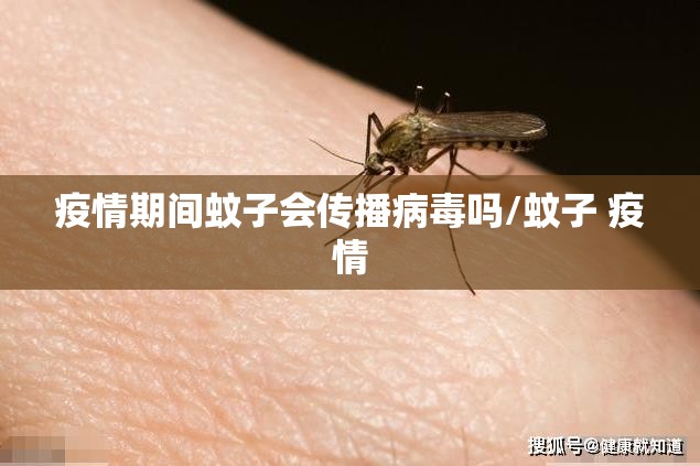 疫情期间蚊子会传播病毒吗/蚊子 疫情