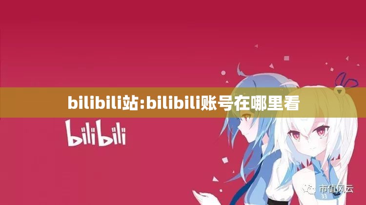 bilibili站:bilibili账号在哪里看