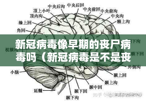 新冠病毒像早期的丧尸病毒吗（新冠病毒是不是丧尸病毒）