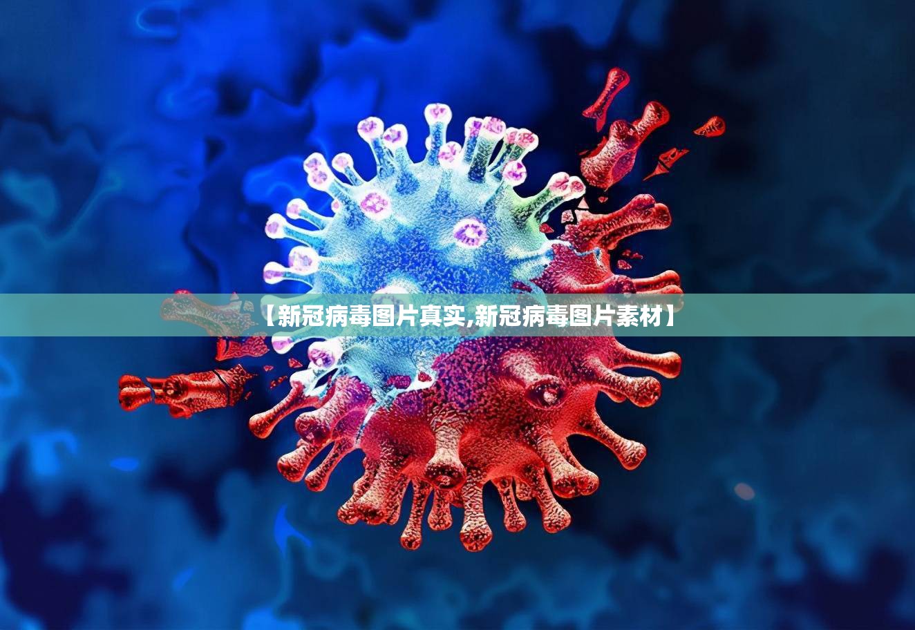 【新冠病毒图片真实,新冠病毒图片素材】