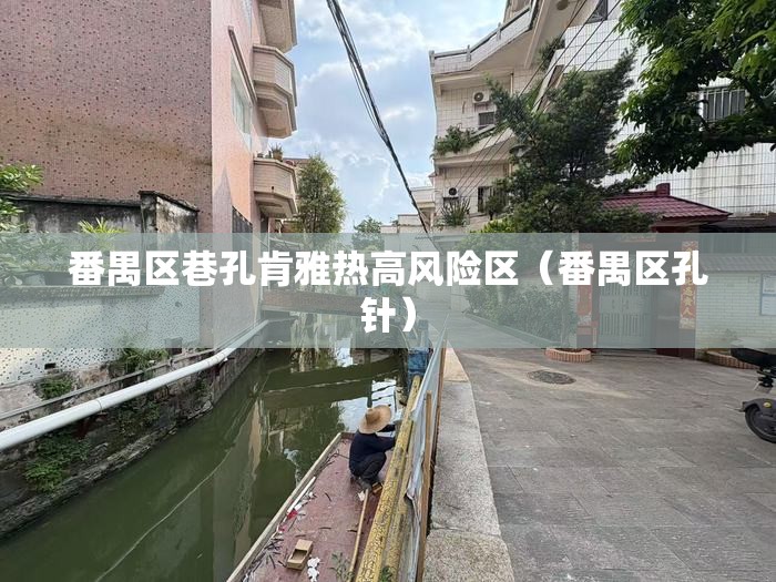 番禺区巷孔肯雅热高风险区（番禺区孔针）