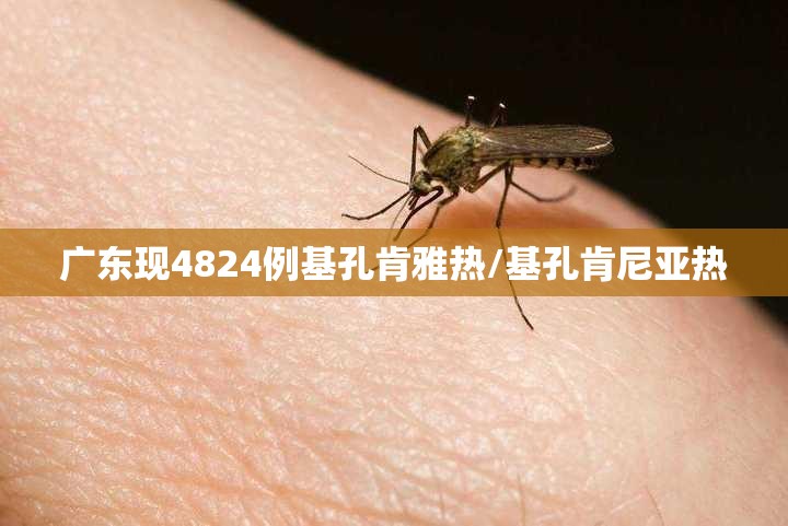 广东现4824例基孔肯雅热/基孔肯尼亚热