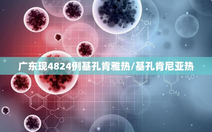 广东现4824例基孔肯雅热/基孔肯尼亚热