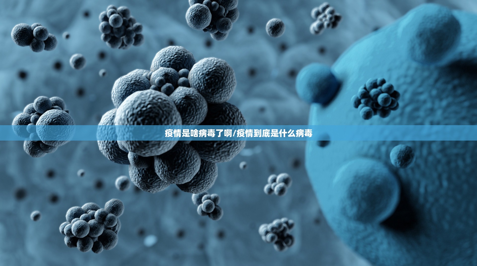 疫情是啥病毒了啊/疫情到底是什么病毒