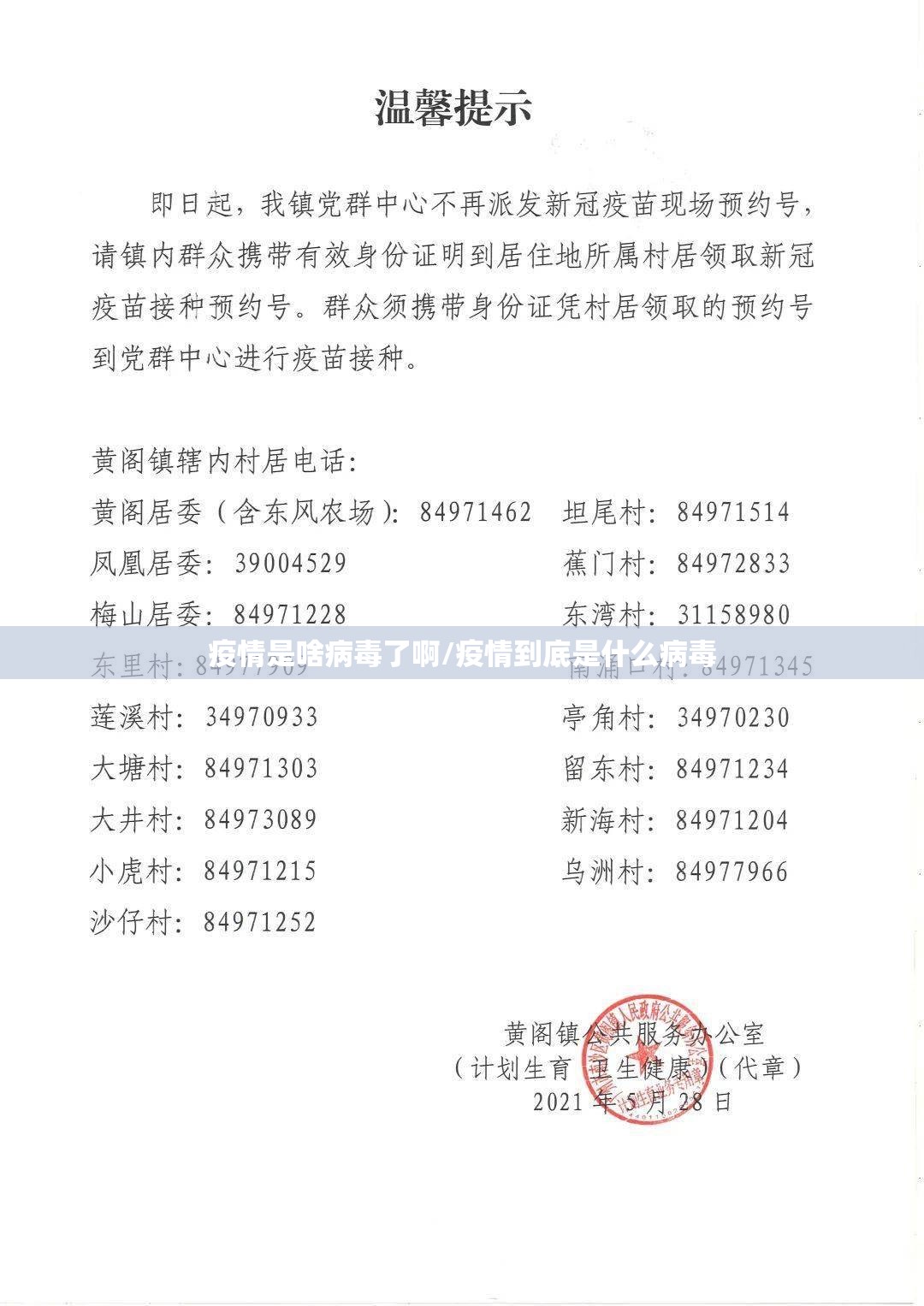 疫情是啥病毒了啊/疫情到底是什么病毒