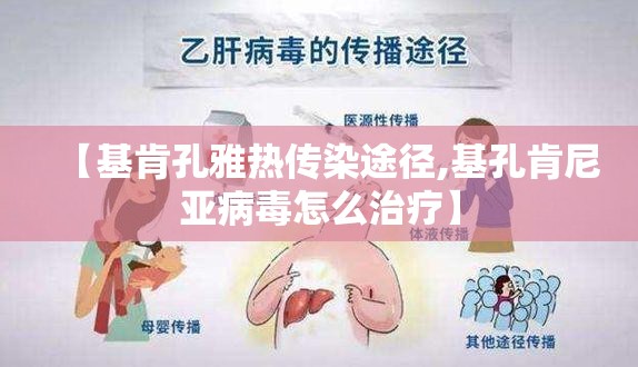 【基肯孔雅热传染途径,基孔肯尼亚病毒怎么治疗】