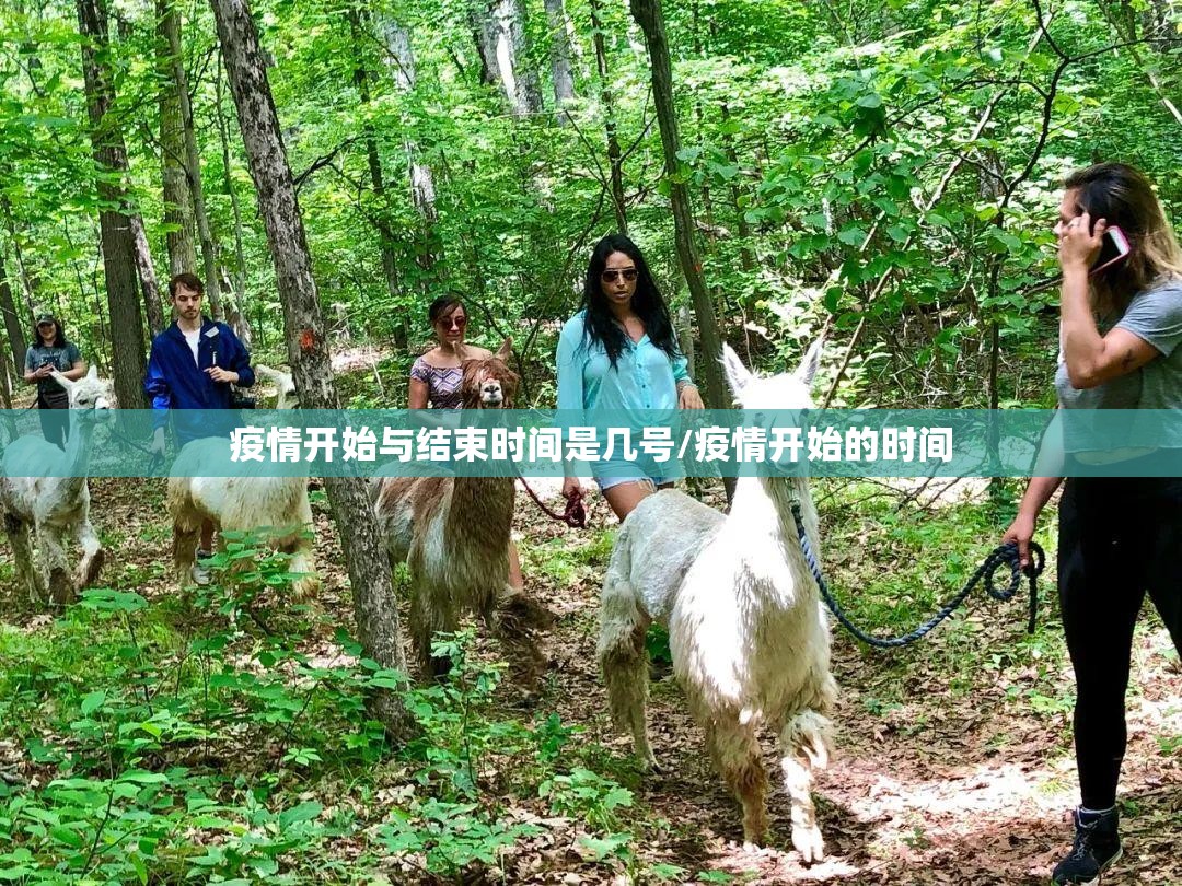 疫情开始与结束时间是几号/疫情开始的时间