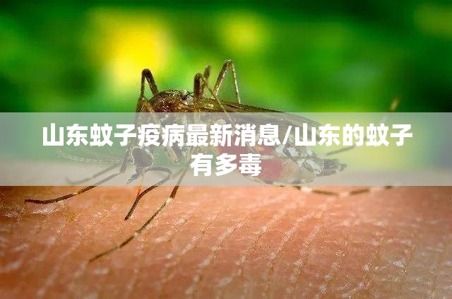 山东蚊子疫病最新消息/山东的蚊子有多毒