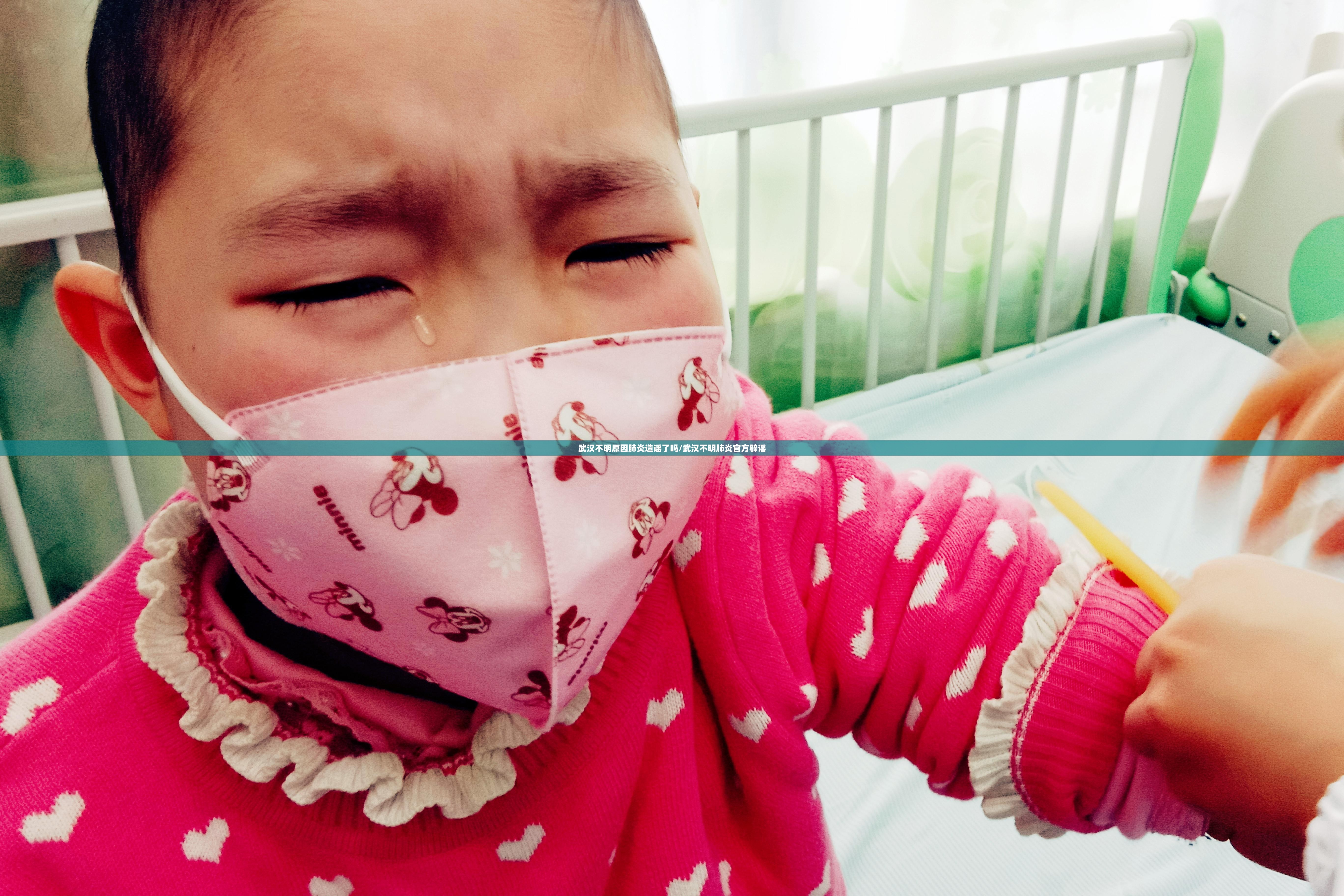 武汉不明原因肺炎造谣了吗/武汉不明肺炎官方辟谣