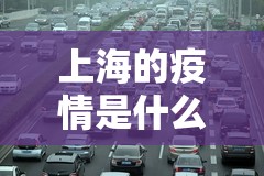 上海的疫情是什么时候开始的（上海疫情几时爆发的）