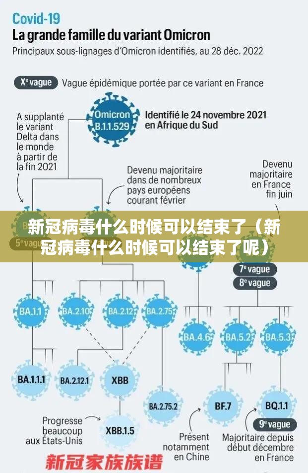 新冠病毒什么时候可以结束了（新冠病毒什么时候可以结束了呢）
