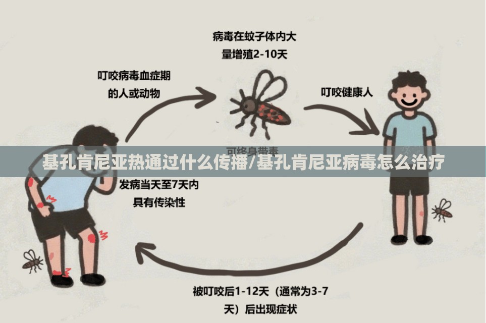 基孔肯尼亚热通过什么传播/基孔肯尼亚病毒怎么治疗