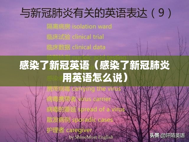 感染了新冠英语（感染了新冠肺炎用英语怎么说）