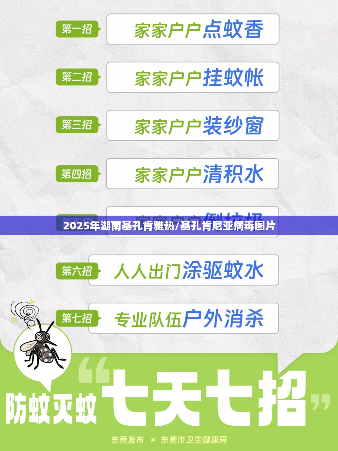 2025年湖南基孔肯雅热/基孔肯尼亚病毒图片