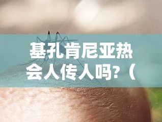 基孔肯尼亚热会人传人吗?（基孔肯尼亚病毒图片）