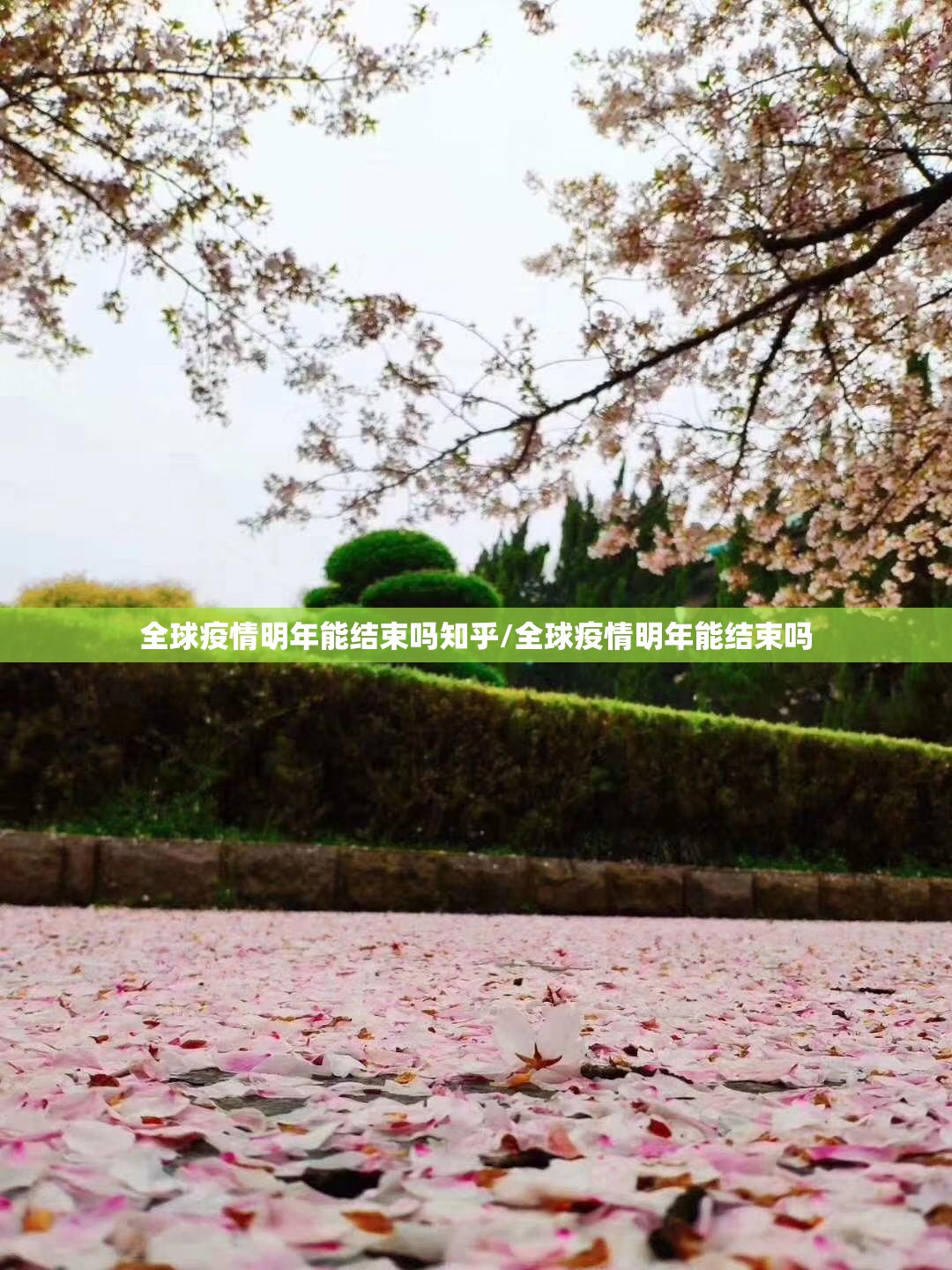 全球疫情明年能结束吗知乎/全球疫情明年能结束吗
