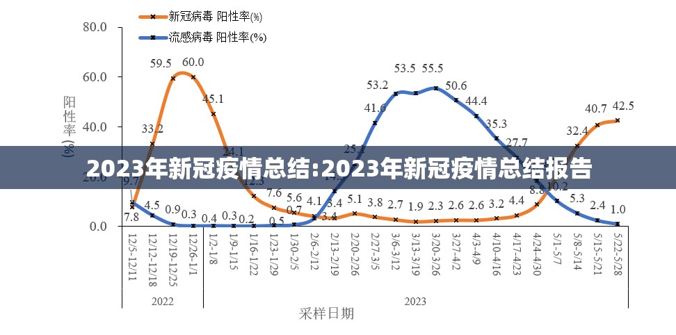 2023年新冠疫情总结:2023年新冠疫情总结报告
