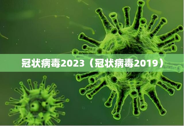 冠状病毒2023（冠状病毒2019）
