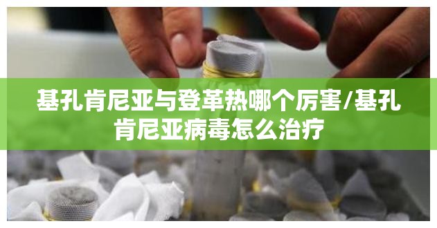 基孔肯尼亚与登革热哪个厉害/基孔肯尼亚病毒怎么治疗