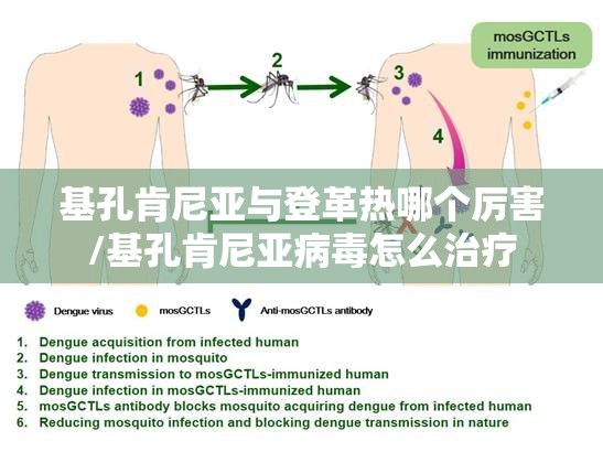 基孔肯尼亚与登革热哪个厉害/基孔肯尼亚病毒怎么治疗