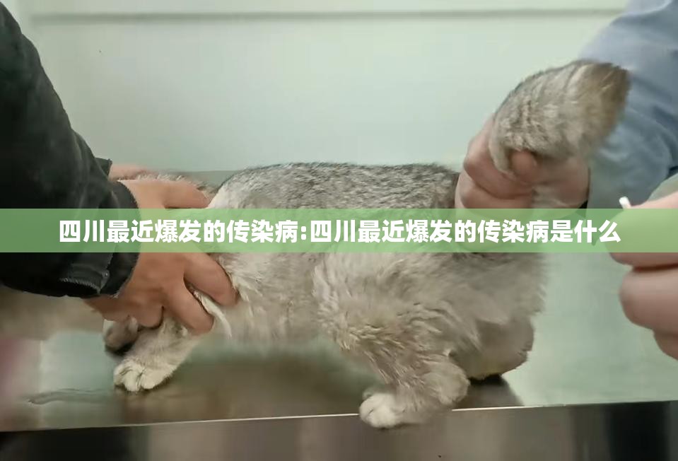 四川最近爆发的传染病:四川最近爆发的传染病是什么