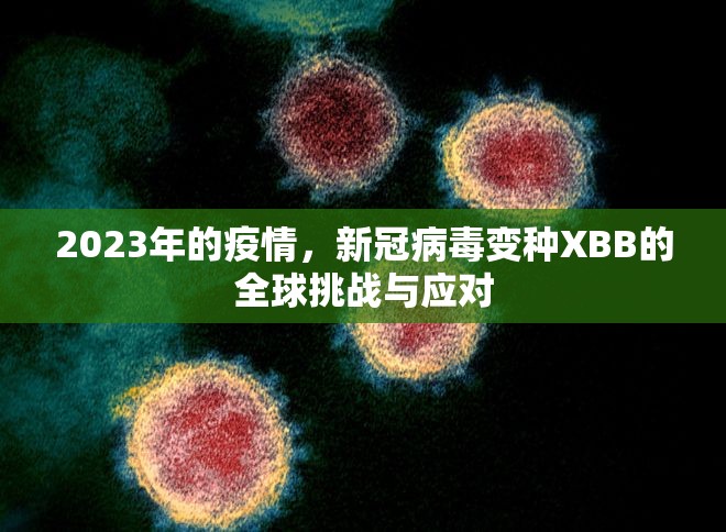 2023年的疫情，新冠病毒变种XBB的全球挑战与应对