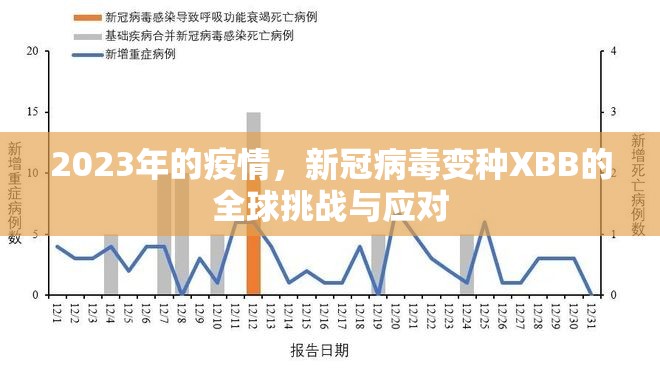 2023年的疫情，新冠病毒变种XBB的全球挑战与应对
