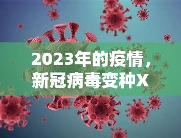 2023年的疫情，新冠病毒变种XBB的全球挑战与应对