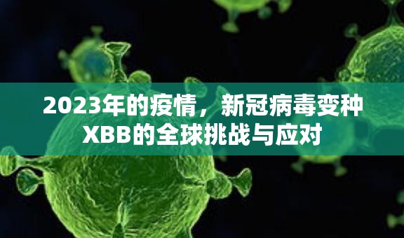 2023年的疫情，新冠病毒变种XBB的全球挑战与应对