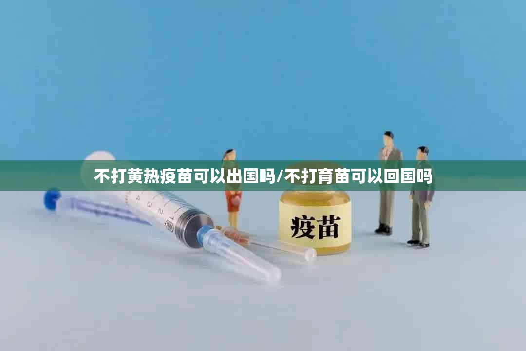 不打黄热疫苗可以出国吗/不打育苗可以回国吗