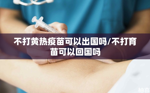 不打黄热疫苗可以出国吗/不打育苗可以回国吗