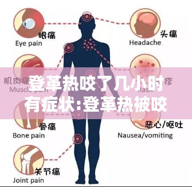 登革热咬了几小时有症状:登革热被咬后的图片