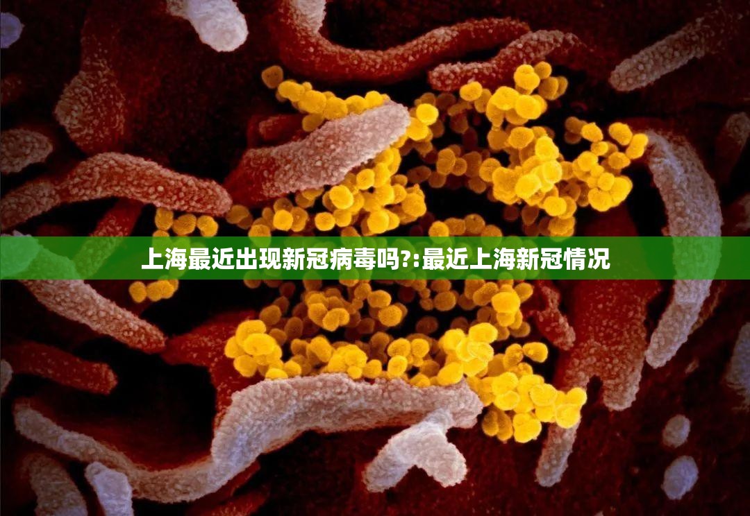 上海最近出现新冠病毒吗?:最近上海新冠情况