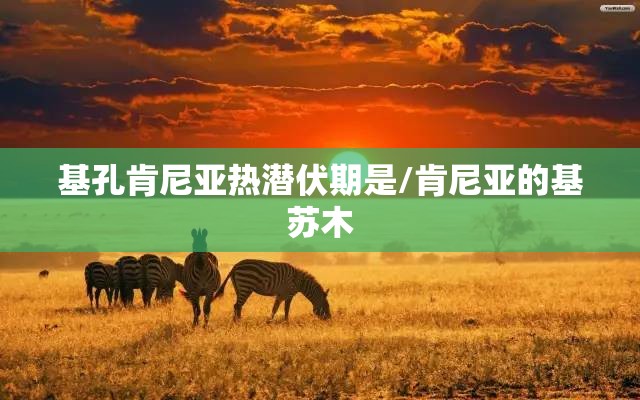 基孔肯尼亚热潜伏期是/肯尼亚的基苏木