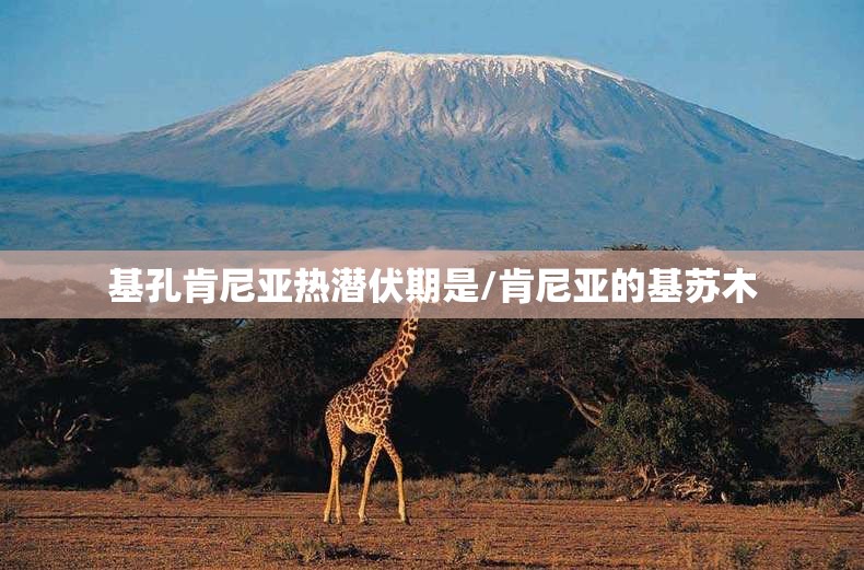 基孔肯尼亚热潜伏期是/肯尼亚的基苏木