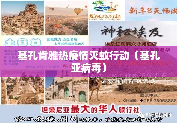 基孔肯雅热疫情灭蚊行动（基孔亚病毒）