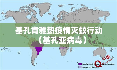 基孔肯雅热疫情灭蚊行动（基孔亚病毒）