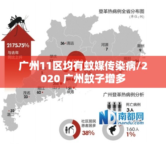 广州11区均有蚊媒传染病/2020 广州蚊子增多