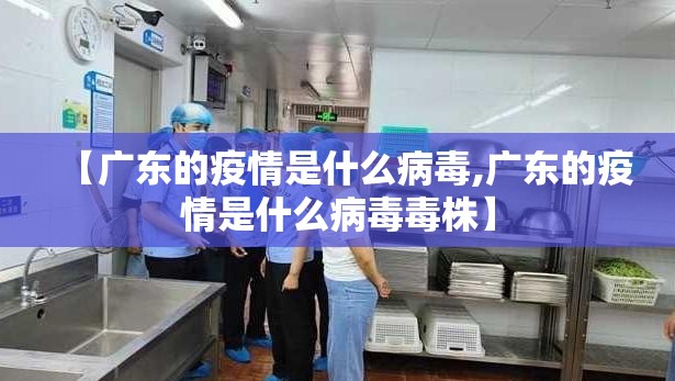 【广东的疫情是什么病毒,广东的疫情是什么病毒毒株】
